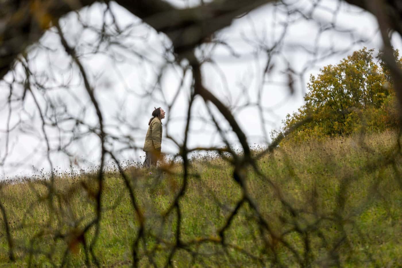 Film Máma u diváků zabodoval. Foto: ČT / Radek Miča