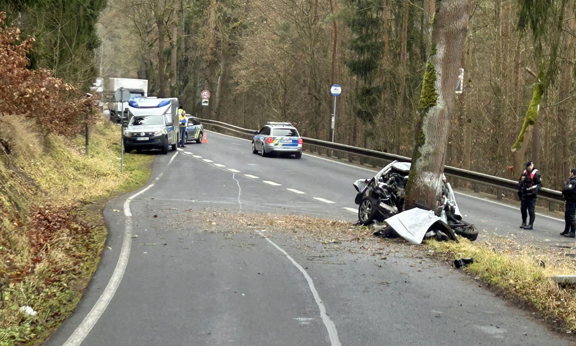Tragická nehoda u obce Semnice na Karlovarsku. Foto: PČR