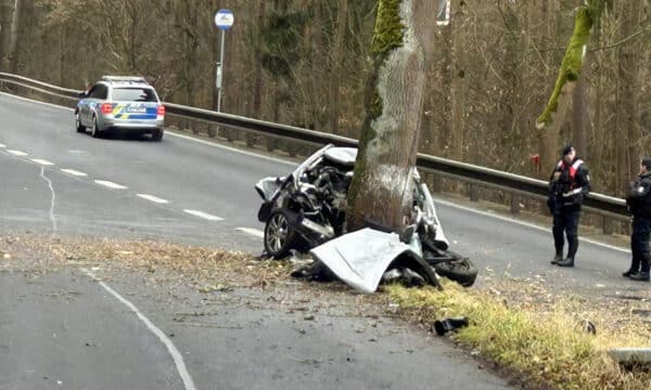 Tragická nehoda u obce Semnice na Karlovarsku. Foto: PČR