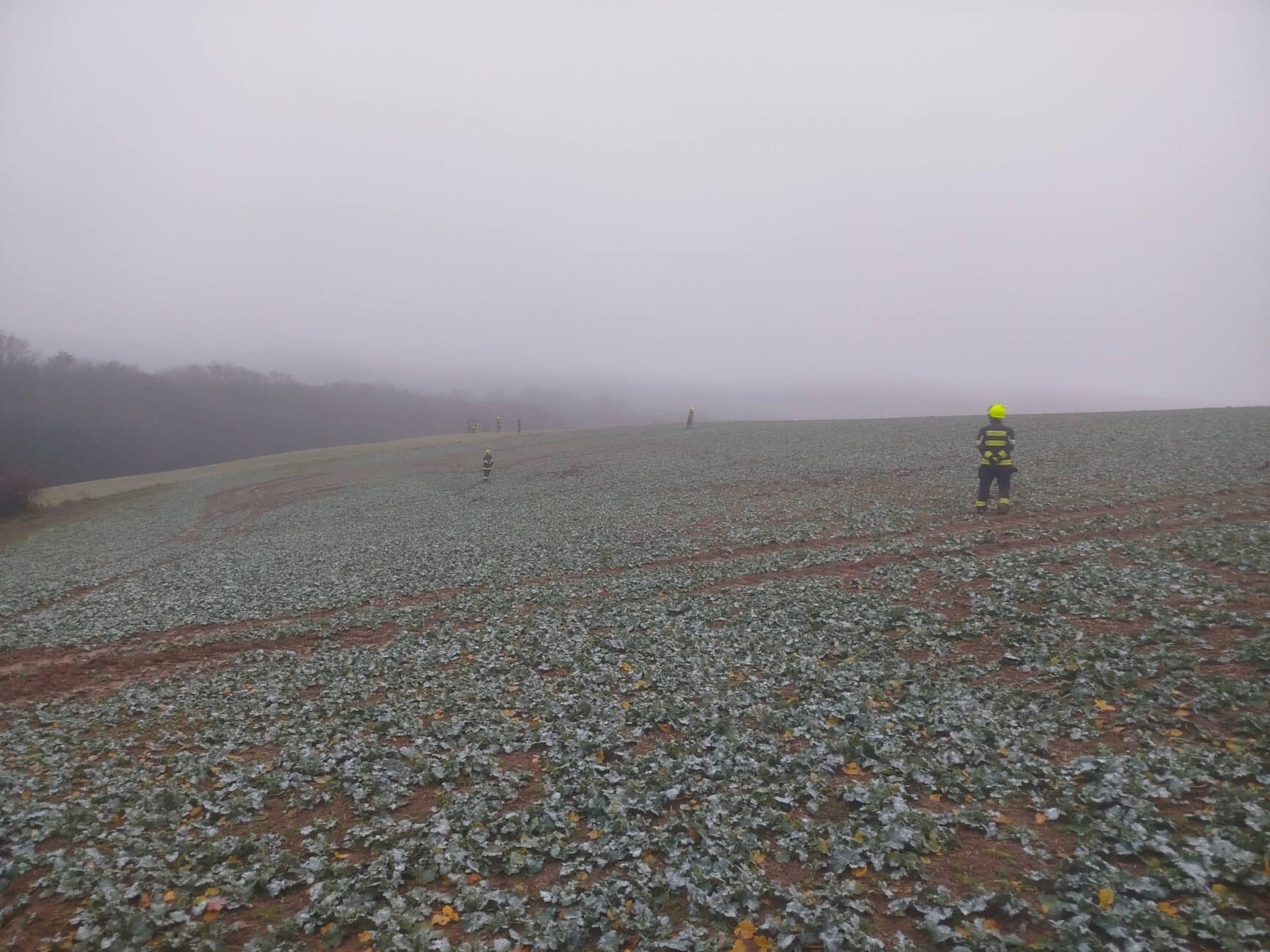 Po chlapci dál pátrají hasiči i policisté. Foto: SDH / Josef Gabrhelík