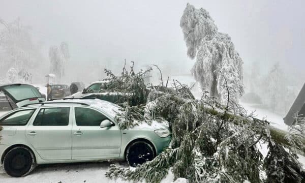 Sníh a námraza lámou stromy na horách. Foto: Horská služba ČR