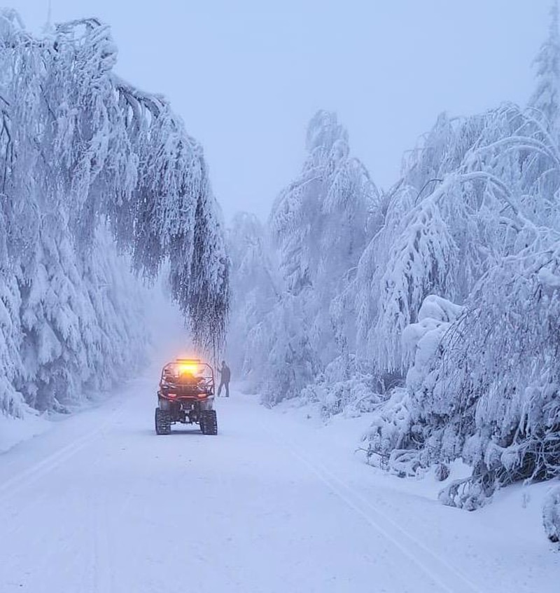 Sníh a námraza lámou stromy na horách. Foto: Horská služba ČR