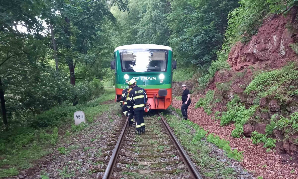 Náraz vlaku do spadlého stromu řešili dnes hasiči také na trati z Trutnova na Královec. Foto: HZS KHK