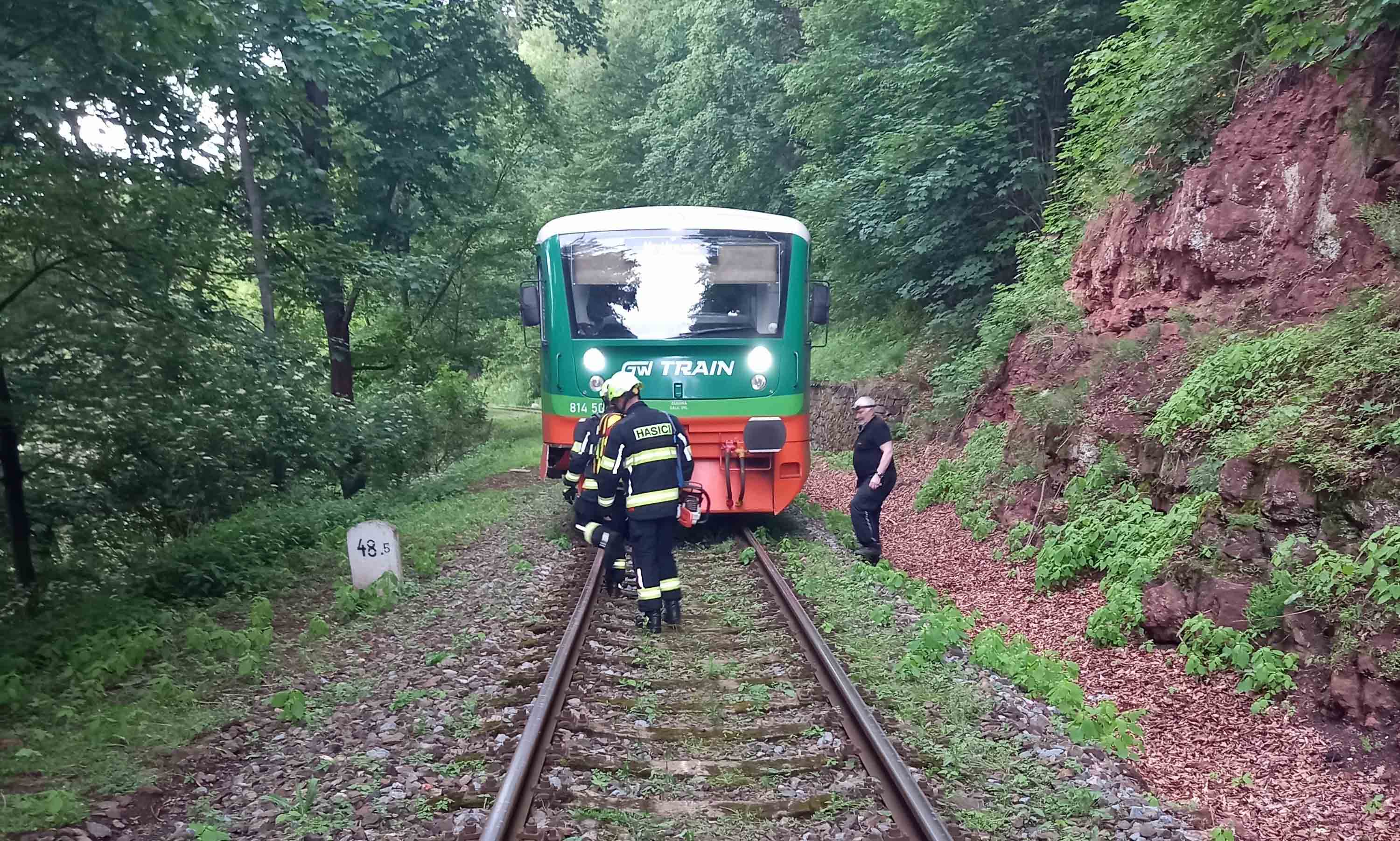 Náraz vlaku do spadlého stromu řešili dnes hasiči také na trati z Trutnova na Královec. Foto: HZS KHK