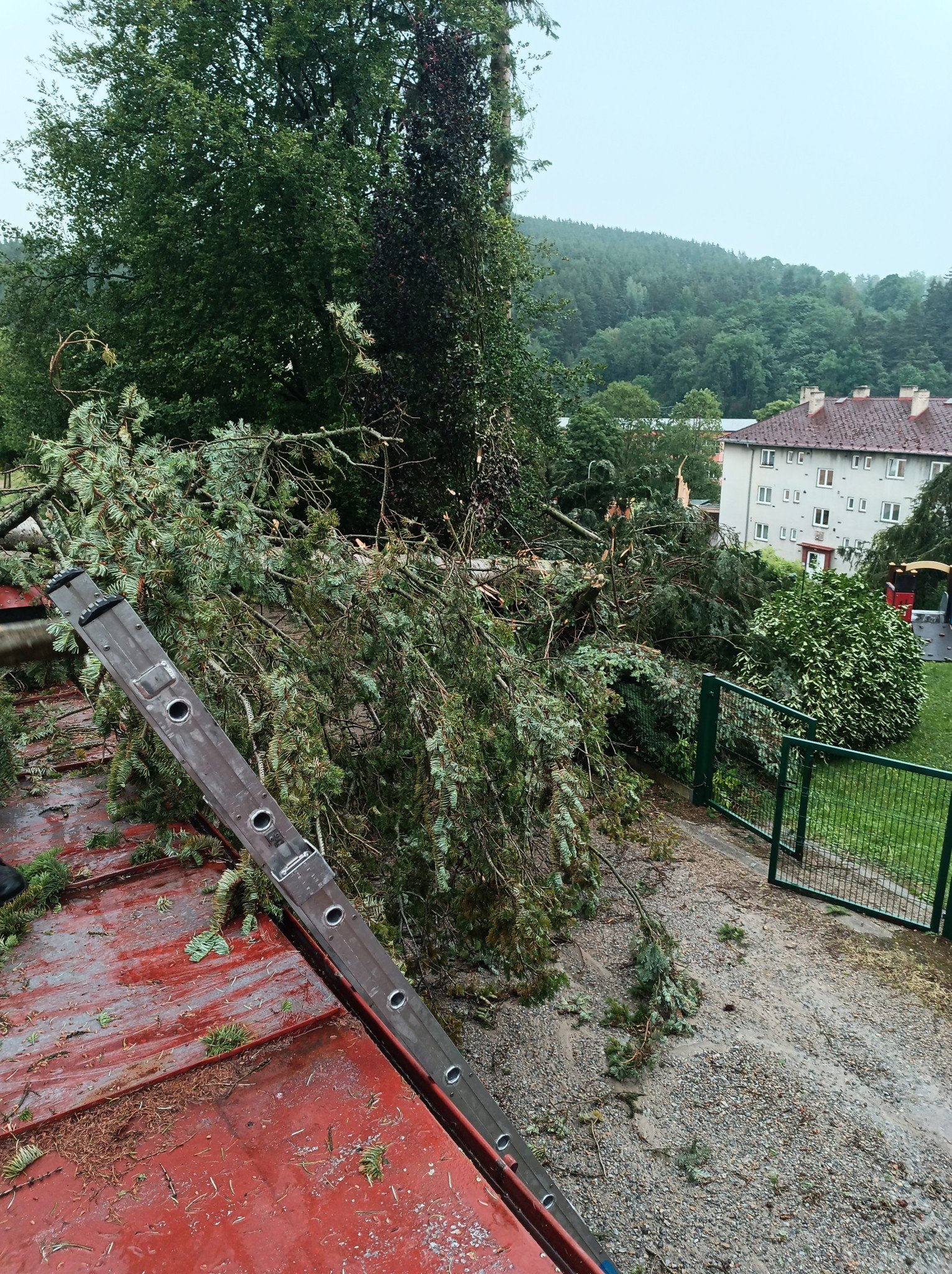 Vichr lámal stromy v jižních Čechách. Foto: HZS JČK