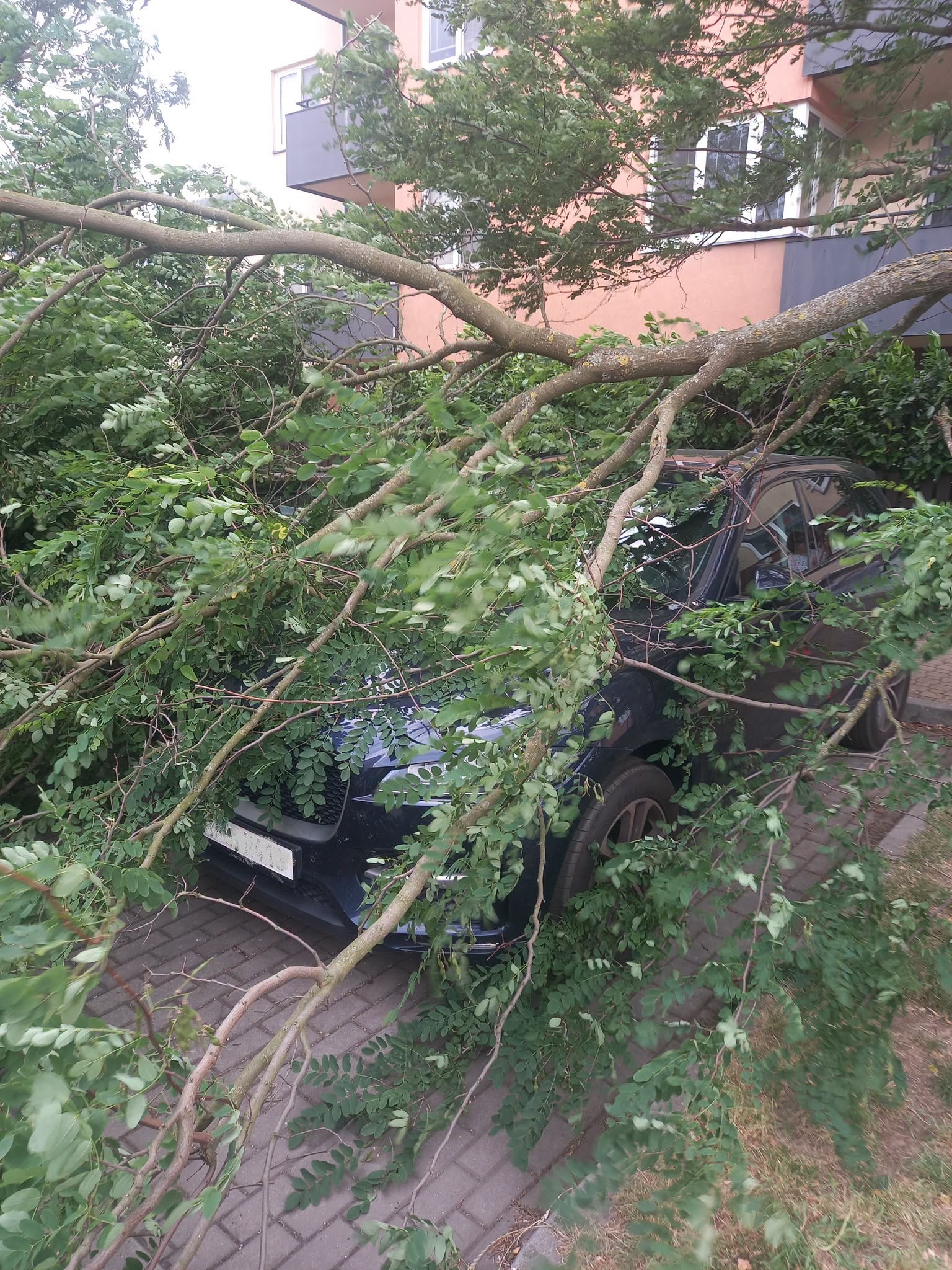 Na Královéhradecku padaly stromy i na zaparkovaná auta. Foto: HZS KHK