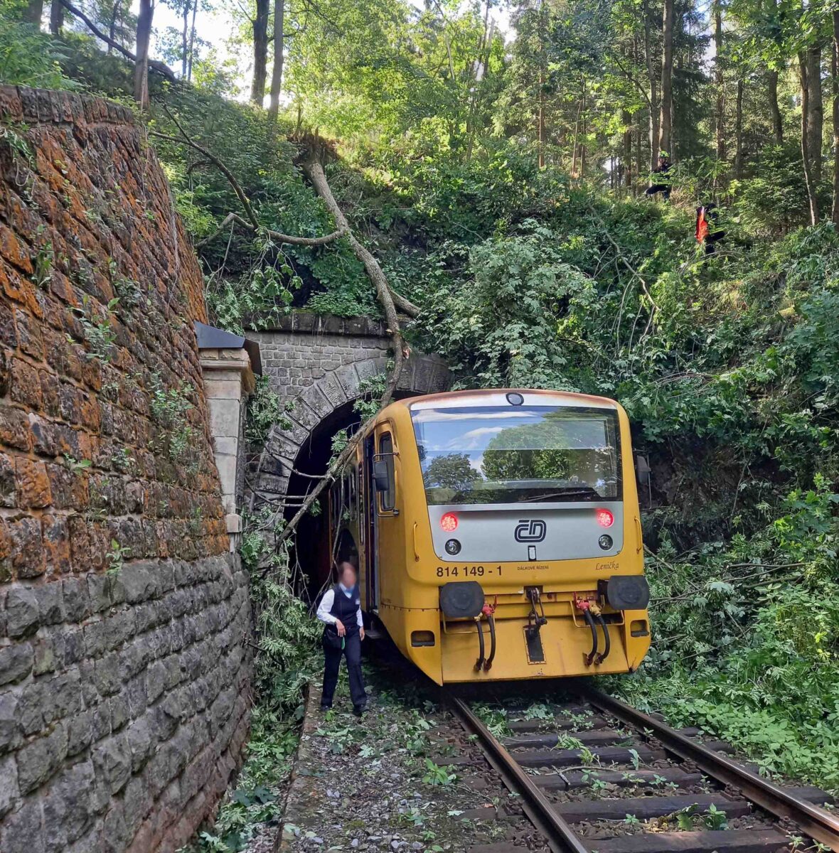 Do stromu visícího nad tratí narazil vlak vyjíždějící z tunelu u Pěčína. Foto: HZS KHK