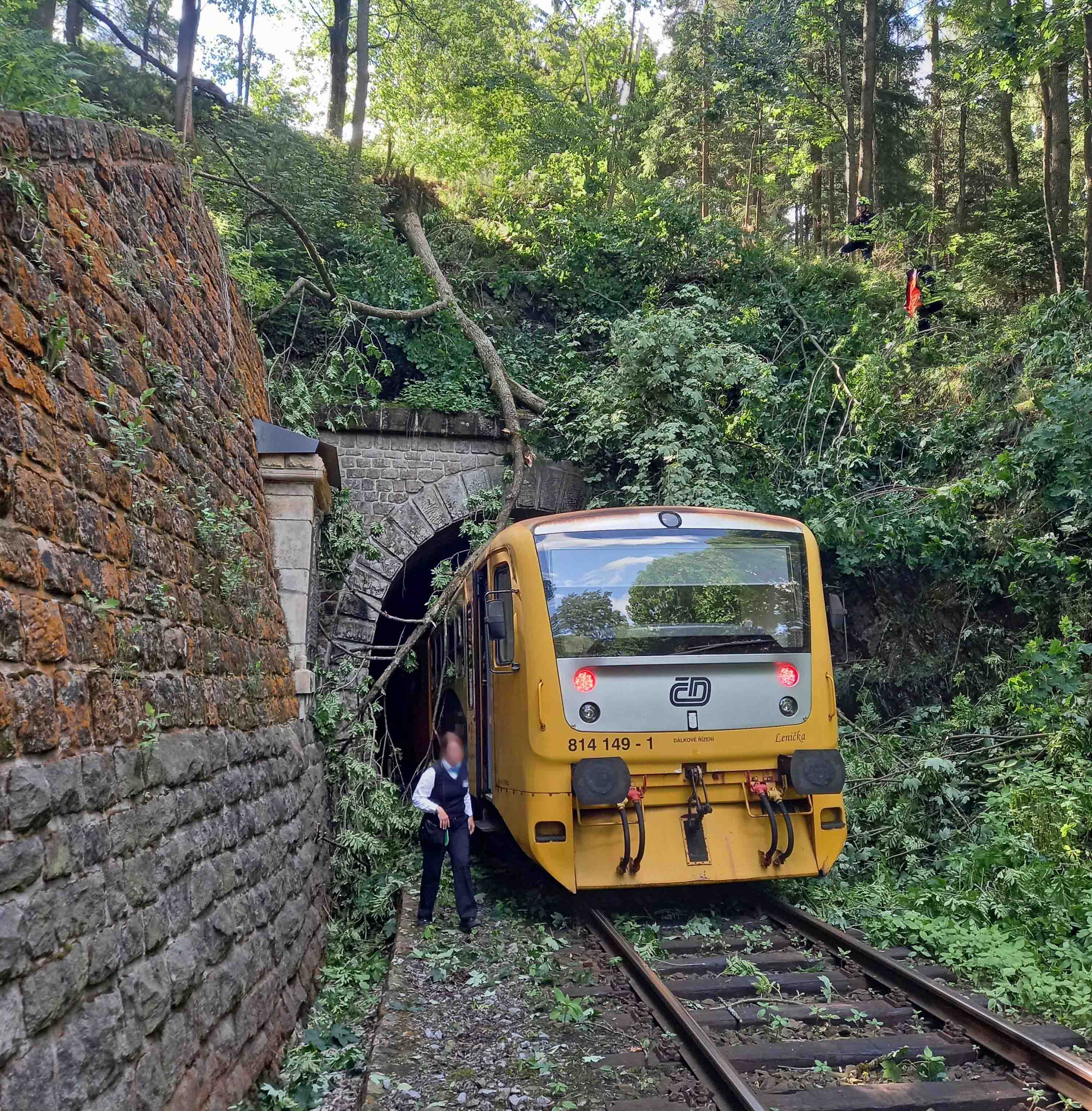 Do stromu visícího nad tratí narazil vlak vyjíždějící z tunelu u Pěčína. Foto: HZS KHK