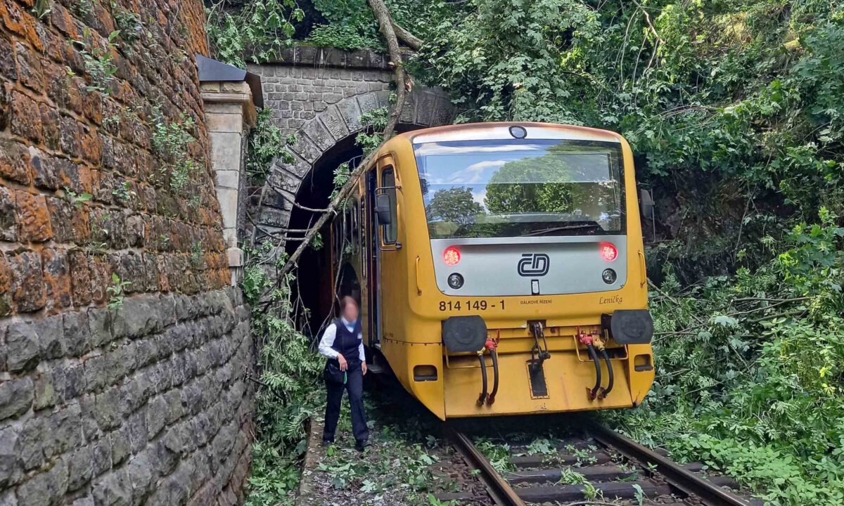 Do stromu visícího nad tratí narazil vlak vyjíždějící z tunelu u Pěčína. Foto: HZS KHK