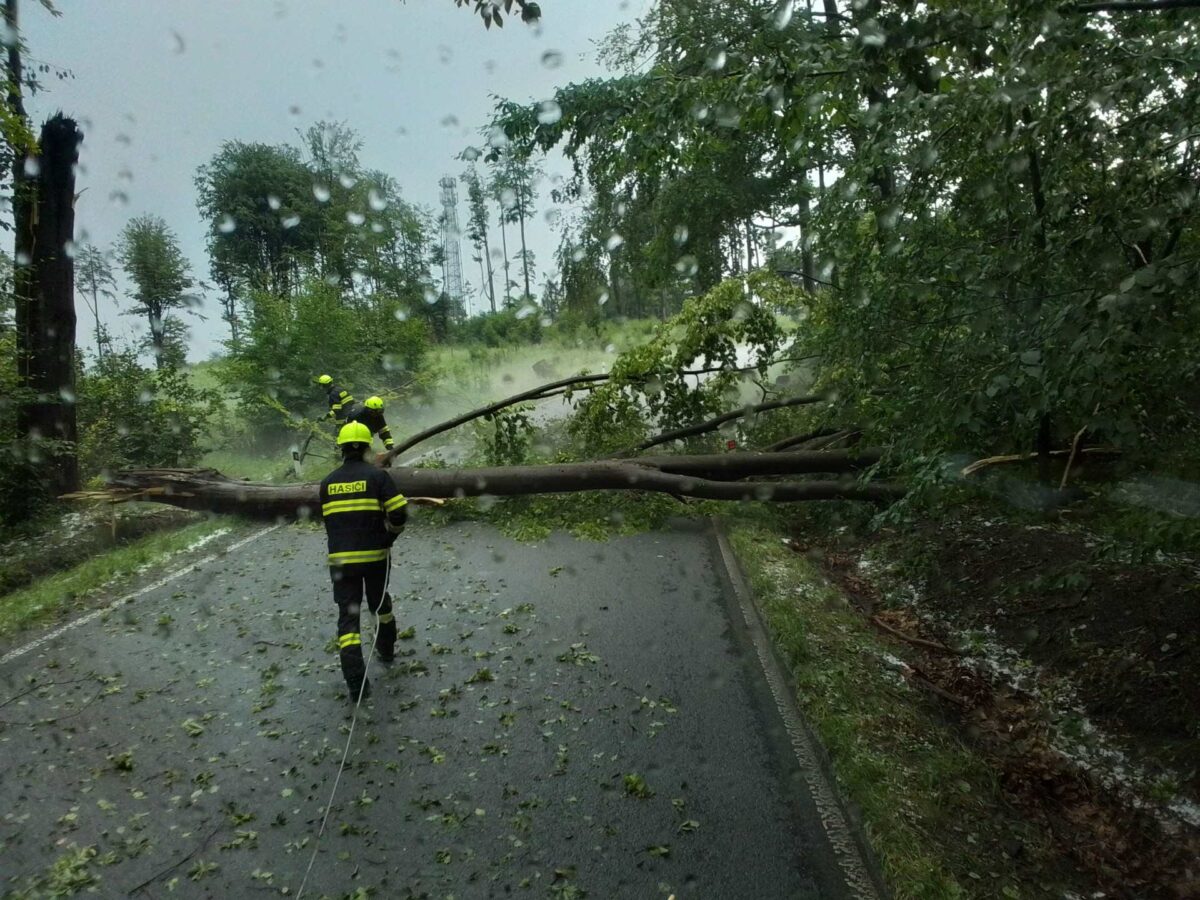 Hasiči na Vysočině odstraňují popadané stromy. Foto: HZS Vysočina