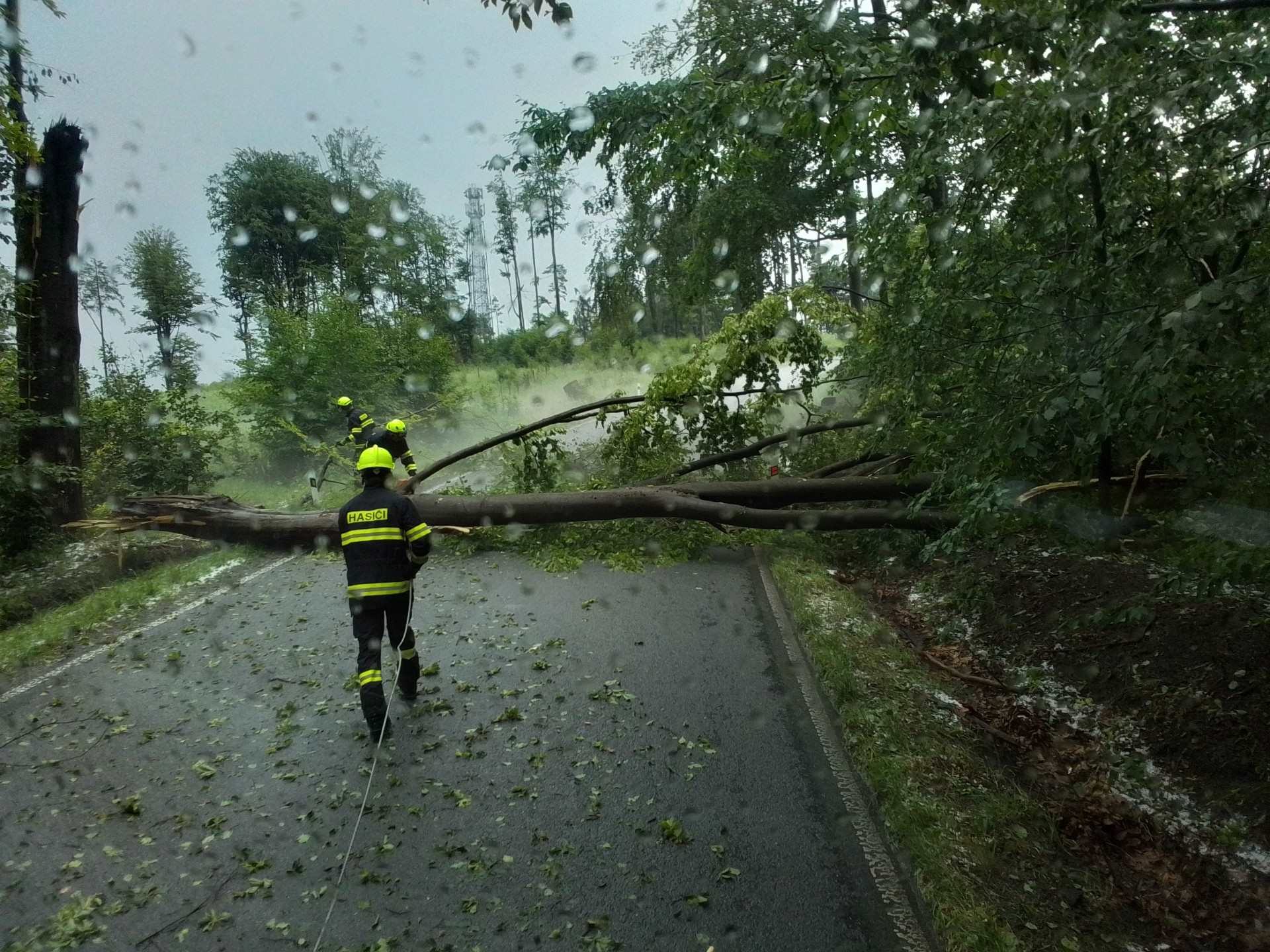 Hasiči na Vysočině odstraňují popadané stromy. Foto: HZS Vysočina