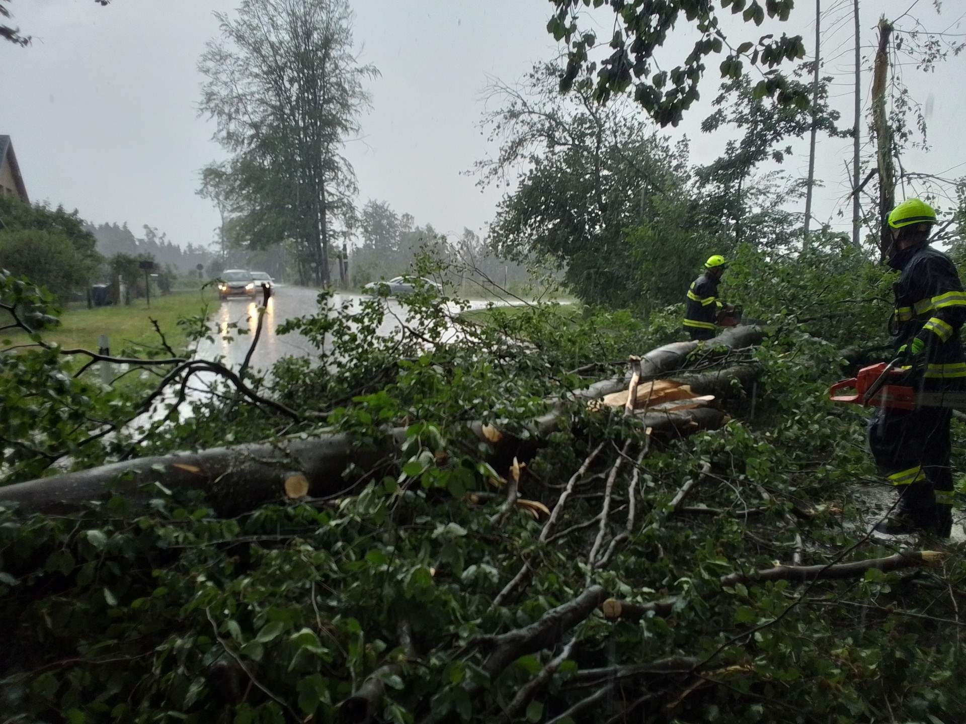 Hasiči na Vysočině odstraňují popadané stromy. Foto: HZS Vysočina