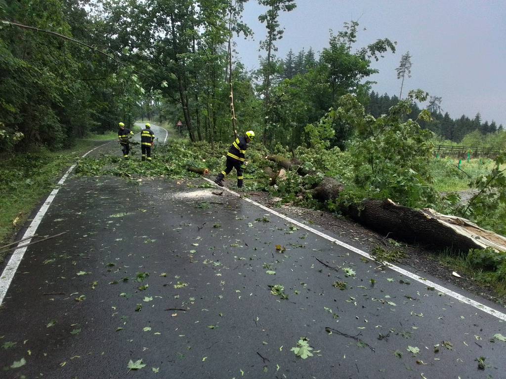 Hasiči na Vysočině odstraňují popadané stromy. Foto: HZS Vysočina